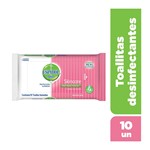 Toallas Antibacteriales Skincare 10 Unidades #1