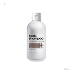 Koal Shampoo Control de Seborrea 250 ml #1