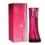 Perfume Adolfo Bambu Woman Edt 100ml #1