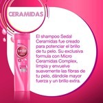 Sedal Shampoo Ceramidas 340 Ml #11
