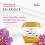 Teatrical Crema Aclaradora 100 gr #17
