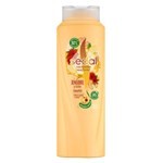 Shampoo Sedal Jengibre y Ricino con Infusión Activa | 650 ml #1