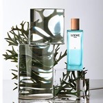 Loewe Agua El Edt Presentación 100 ml #4