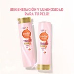 Sedal Shampoo Colageno Y Vitamina C 340 ml #8