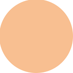 Loreal Paris Base Infallible Matte Cover 135 #4