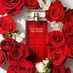 Arden Red Door Edt Presentación 100 ml #3