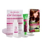 Garnier Kit Coloracion Cor Intensa 5.3 Castaño Claro Dorado 5.3 Castano Chocolate #6