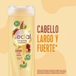 Shampoo Sedal Jengibre Y Ricino 340 Ml #6