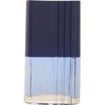 Edp Paulvic Silver x 50 ml #2