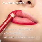 Delineador de Labios L'oréal Paris Color Riche Le Lip Crayon x 1,2 g Color Worthit Med 635 #5