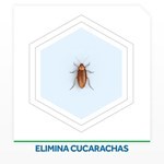 Insecticida Raid Exterminador Cucarachas En Aerosol 360 Ml #5