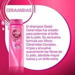 Sedal Shampoo ceramidas 650 ml #3