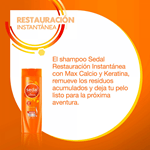 Sedal Shampoo Restauración Instantánea 190 Ml #6