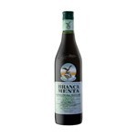 Fernet Brancamenta 750 cc #1