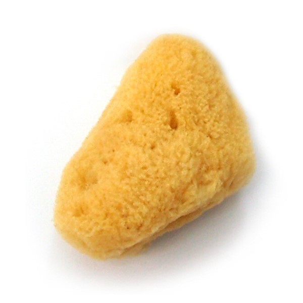 Basiccare Esponja 1049 de Mar Cosmetica Sin Presentacion #1