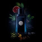 Perfume Antonio Banderas The Icon Edt 100 ml #10