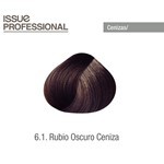 Issue Tintura Profesional Pomo Color N°6.1 Rubio Oscuro Ceniza #2