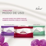 Teatrical Toallitas de Limpieza Humectantes (40 Unid) #9