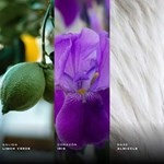 Armaf Club de Nuit Sillage Edp 105 ml Presentación 105 ml #3