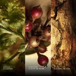 Zimaya Ghayath Edp Afnan 90 ml #2