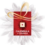 Elvive Crema Para Peinara Reparacion Total X 250 Ml #11