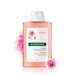 Klorane Shampoo Calmante Peonia Para Cuero Cabelludo Sensible 200 ml #2