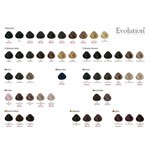 Alfaparf Tintura Permanente en Pomo Evolution Of Color #2