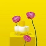 Agatha Ruiz de La Prada de Flor en Flor Edt 100 ml #3