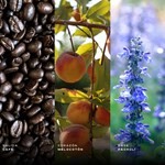 Al Wataniah Al Layl Edp 100 ml #3