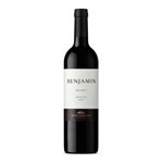 Vino Benjamin Nieto Senetiner Malbec X 750 Ml #1