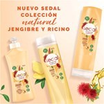 Shampoo Sedal Jengibre & Ricino 650 Ml. #5