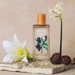 Sarkany Sofía Atelier A01 EDP 100ml #3