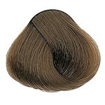 Alfaparf Milano Evolution Of The Color Kit Coloracion Color 7.31 Rubio Medio Dorado Ceniza #2
