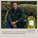 David Beckham Collection Bot Resin Edp 100 ml #5