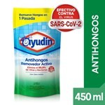 Limpiador Antihongos Ayudin Removedor Activo Envase Economico 450 Ml #1