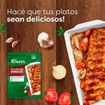 Condimento Sabor Al Horno Knorr Barbacoa 35 G #4
