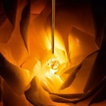 Dior Prestige Le Nectar Intégral Presentación Tratamiento 20 ml #3