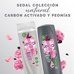 Acondicionador Sedal Carbón Activado  Peonias 340 Ml #7