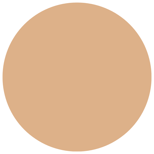 Base Líquida Maybelline Fit Me Fresh Tint Spf 50 5 alt