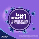 Protectores Diarios Respirables (80 Unidades) #1