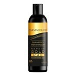Farmacolor Repair Gold 24K Shampoo 380 ml #1