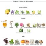 Ted Lapidus Lapidus Pour Homme Edt 30 ml #3