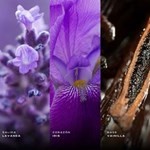 Lataffa Asad Zanzibar Edp 100 ml Presentación 100 ml #3