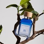 Adolfo Dominguez Agua Fresca Lima Tonka Edt Presentación 200 ml #4