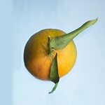 Cher Beauty Iris Edp Presentación 100 ml #6