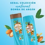 Shampoo Sedal Bomba Argán Restaura 340 Ml #8