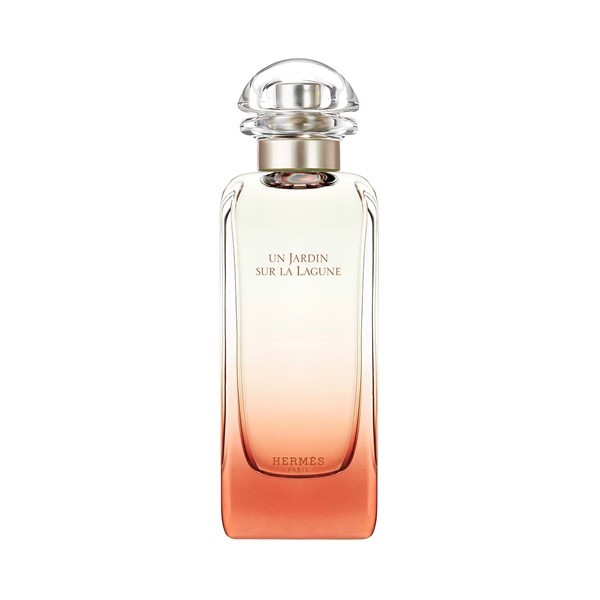 Hermes un Jardin Sur La Lagune Edt Presentación 100 ml #1
