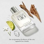 Armani Acqua Di Gio Edt Tamaño 100 ml #3