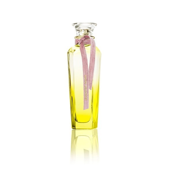 Adolfo Dominguez Fragancia Mimosa Coriandro F/W Edt 120 ml alt