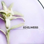 Kerastase Blond Absolu Serum Ha Presentación Cabello #6